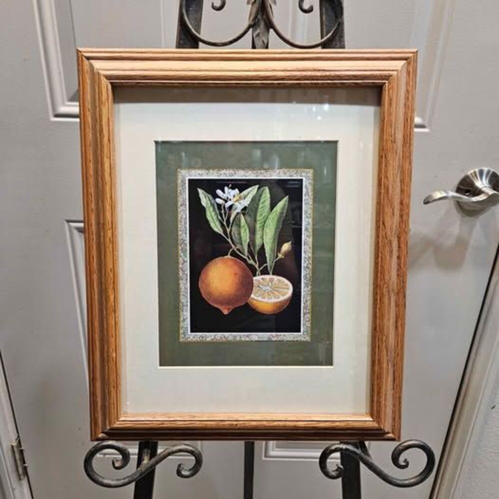 Framed Botanical Orange Print